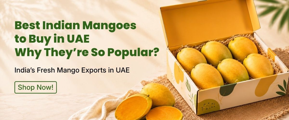 Best Indian Mangoes to Buy in UAE: Why They are So Popular