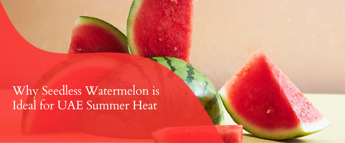 Why Seedless Watermelon is the UAEs Ultimate Hydration Fruit in Summer Heat