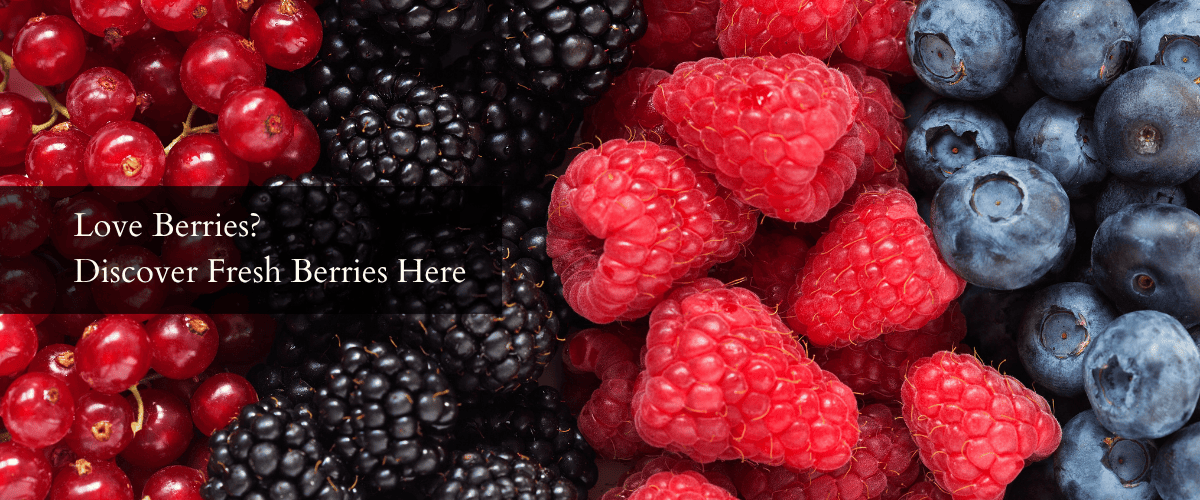 Small Fruits, Big Benefits: Discover Why Berries are a Smart Choice for your Everyday Diet