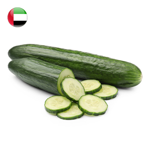 Cucumber 500g UAE