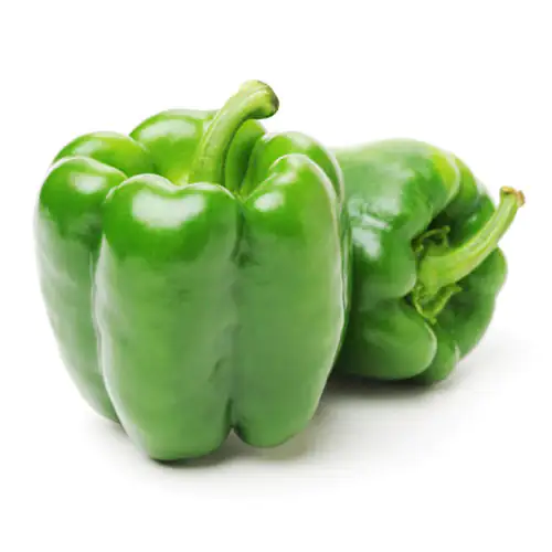 Capsicum Green 500g Spain